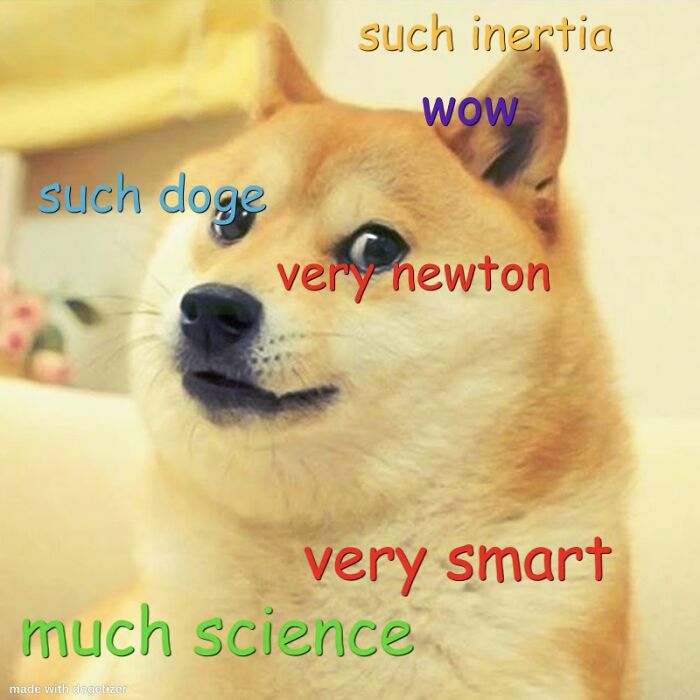 Because My Name Is Newt, I Received This. Framed.