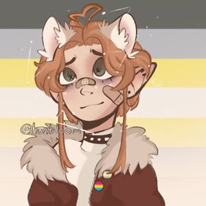 lucycorbett09 avatar