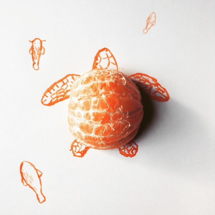 Artist Turns Any Object Into Fun Illustrations( New Pics)