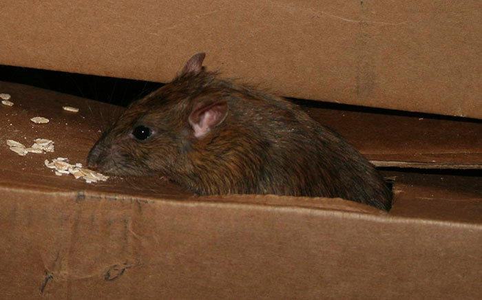 30 Company Secrets Spilled By Ex-Employees That People Are Not Supposed To Know