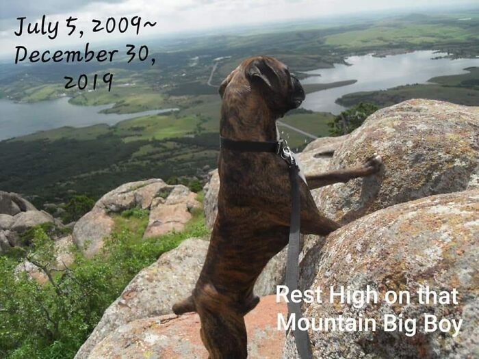 Our Fletcher Taken Near Ft. Sill Oklahoma
