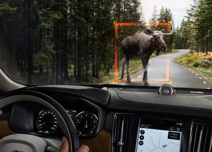 20 Consejos para salvar la vida que quizá no conozcas