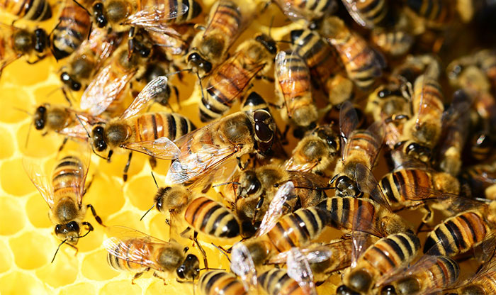 40 Life-Saving Tips You Might Not Have Known But Definitely Should