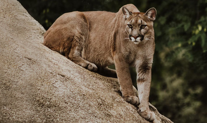 40 Life-Saving Tips You Might Not Have Known But Definitely Should