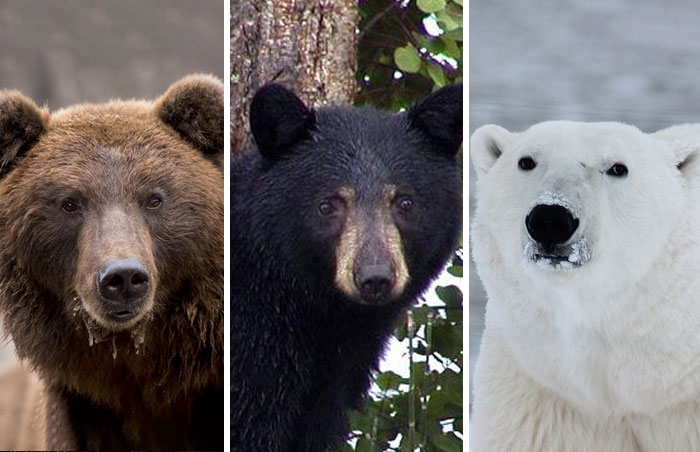 40 Life-Saving Tips You Might Not Have Known But Definitely Should