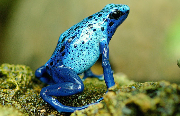 20 Consejos para salvar la vida que quizá no conozcas