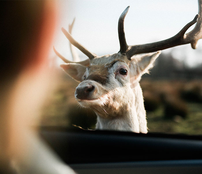 40 Life-Saving Tips You Might Not Have Known But Definitely Should