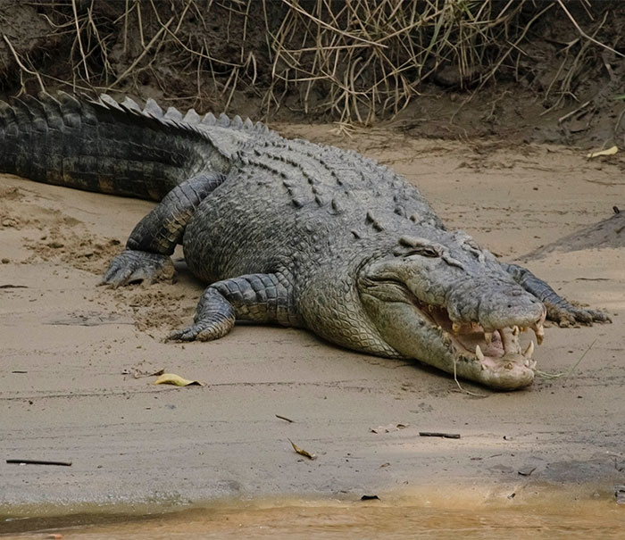 40 Life-Saving Tips You Might Not Have Known But Definitely Should