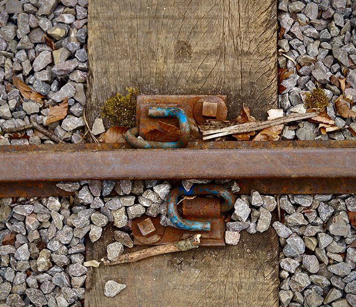 20 Consejos para salvar la vida que quizá no conozcas