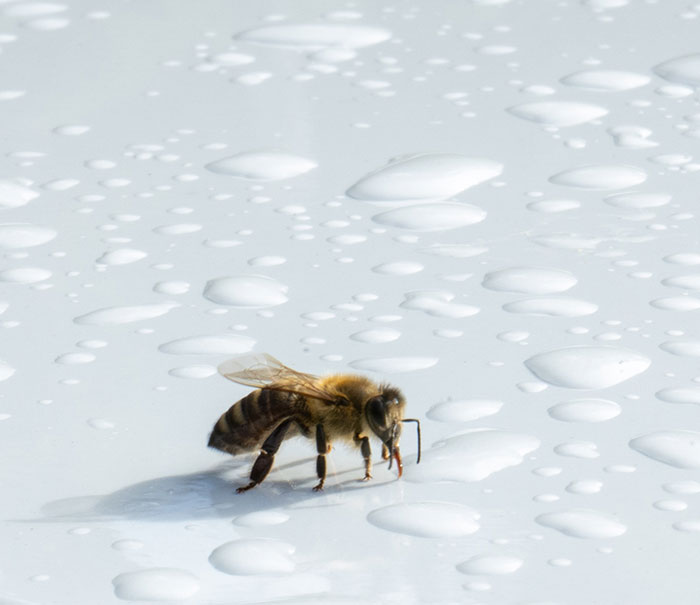 40 Life-Saving Tips You Might Not Have Known But Definitely Should