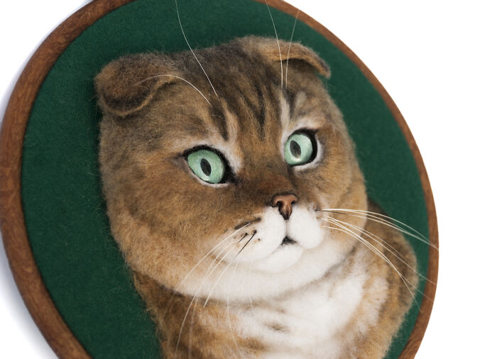 These Realistic Animal Faces Delight Some, Horrify Others. But These Portraits Do Not Leave Anyone Indifferent