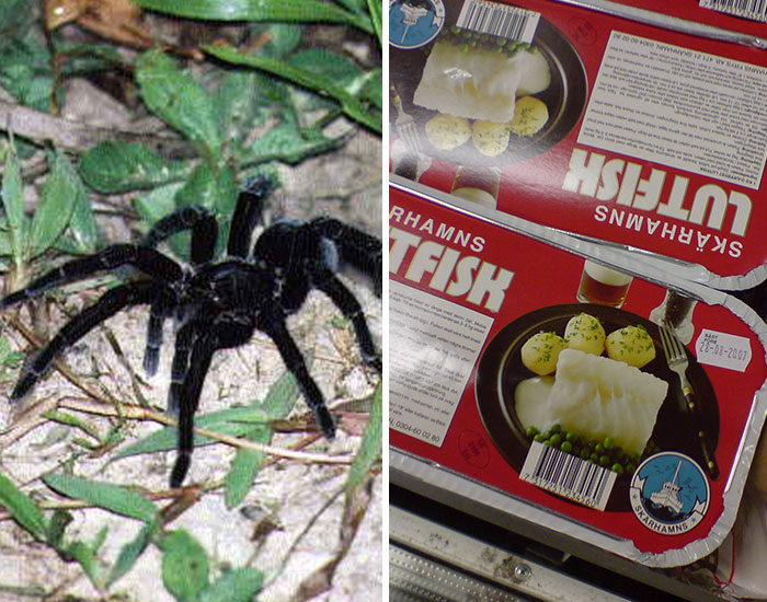 30 Of The Most Inedible Foods Out There, According To The Folks That Would Eat Almost Anything