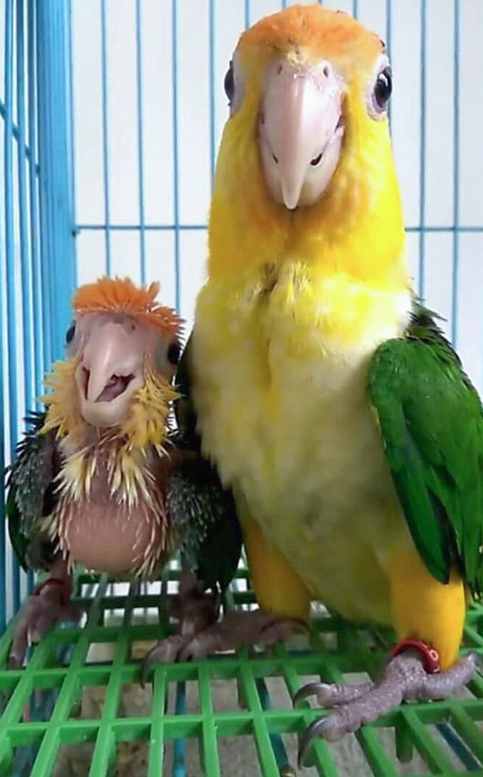 Mom And Baby. Pure Happiness