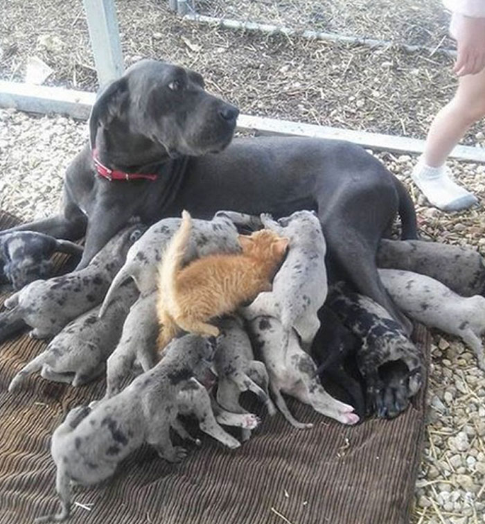 Just One Of The Guys