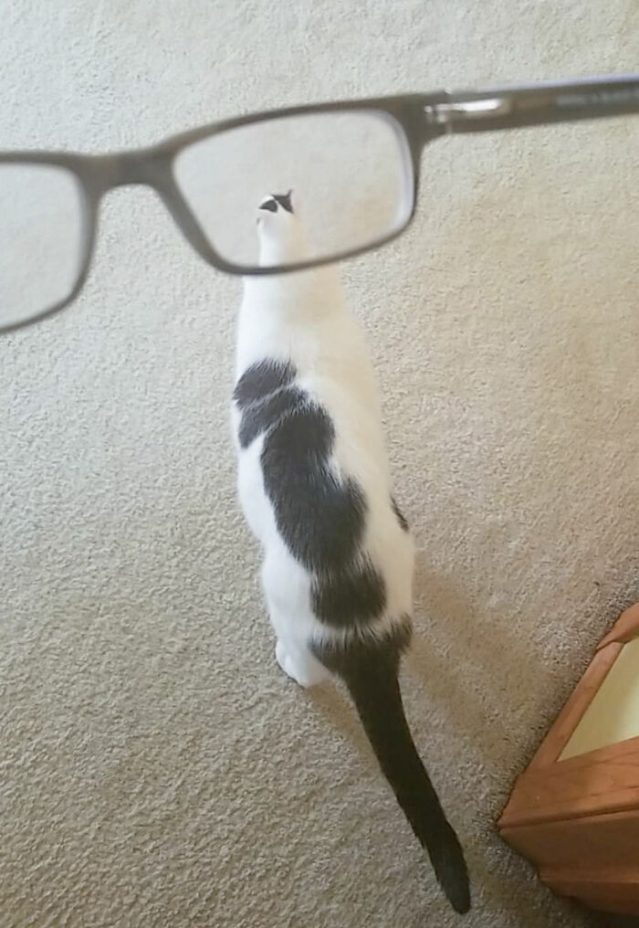 First Thing My SO Sends Me After Not Texting All Day