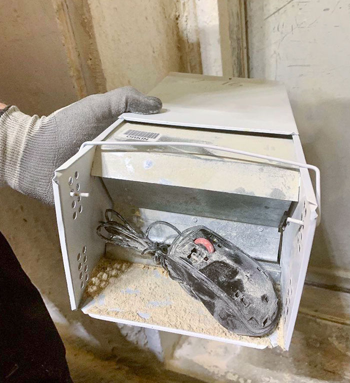 My Wife Works In Pest Control. She Was Servicing A Mill And Came Across This, Says It Was The Biggest Mouse She Has Ever Caught