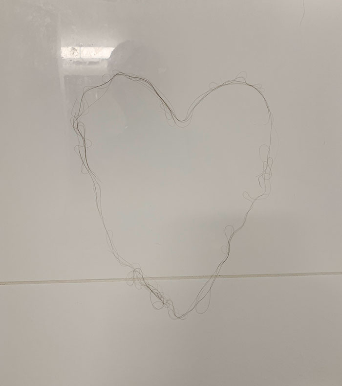 I Showed My Girlfriend The Shower Hair Photo And Told Her To Clean Up. I Woke Up To This