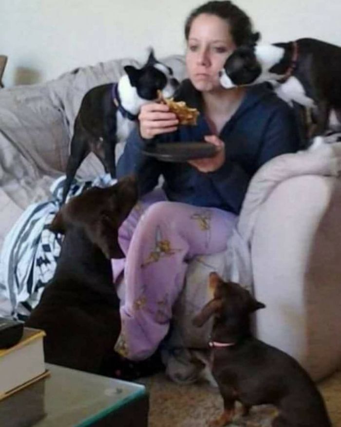 Funny-Nonsense-Animal-Images