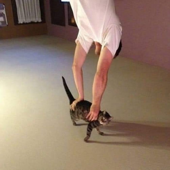 Funny-Nonsense-Animal-Images