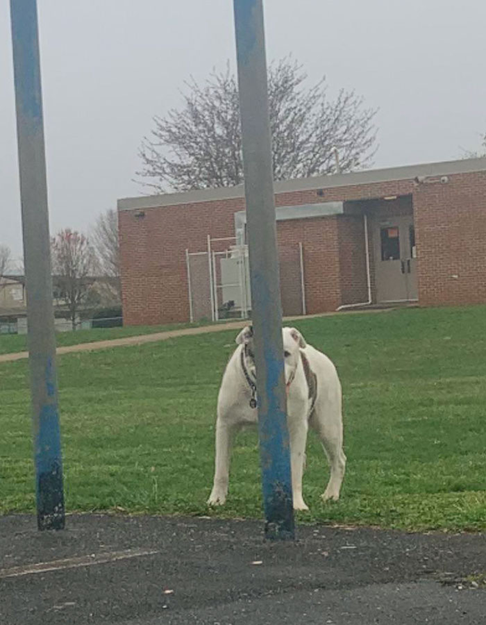 My Big Boy Likes To “Hide” When It’s Time To Leave The Park
