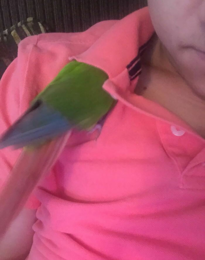 She Bit Me And I Yelled At Her. Now She's Ashamed And "Hiding"