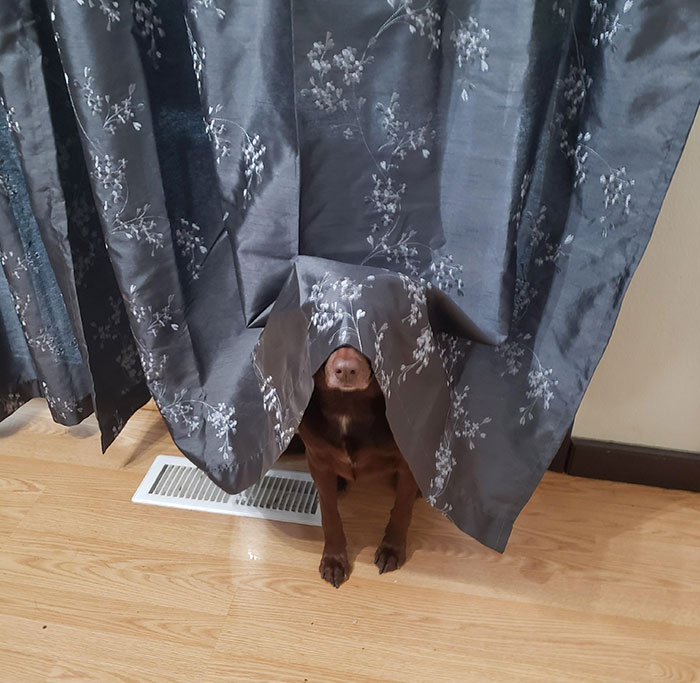 Hide And Not Too Much Seek