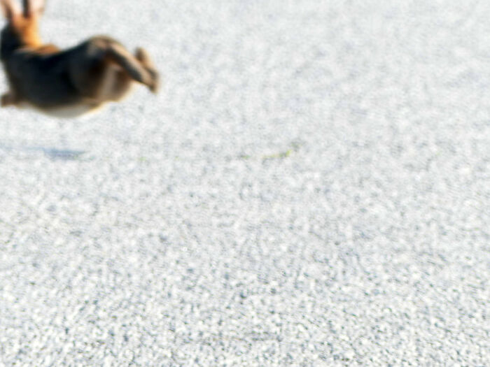 Años de experiencia me han ayudado a desarrollar mi propio estilo fotográfico