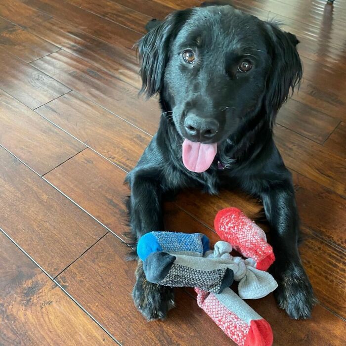 Ashers Favorite Toy , My Socks