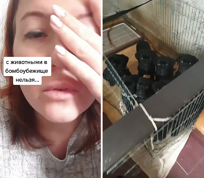 "No permiten perros en el refugio antibombas..."