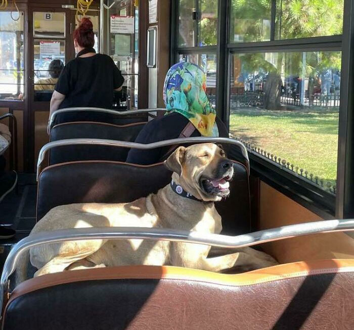 Main Character Moment Irl