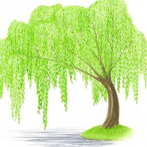 faithhurst-bilinski avatar