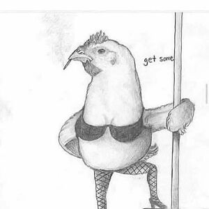 tammyschoch69 avatar