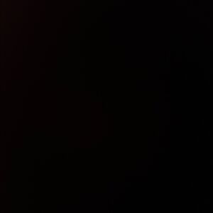 meredithlovegrove avatar