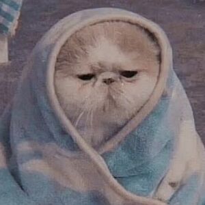 lottiemcnally avatar