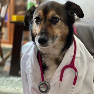 ayeletmarticooper avatar