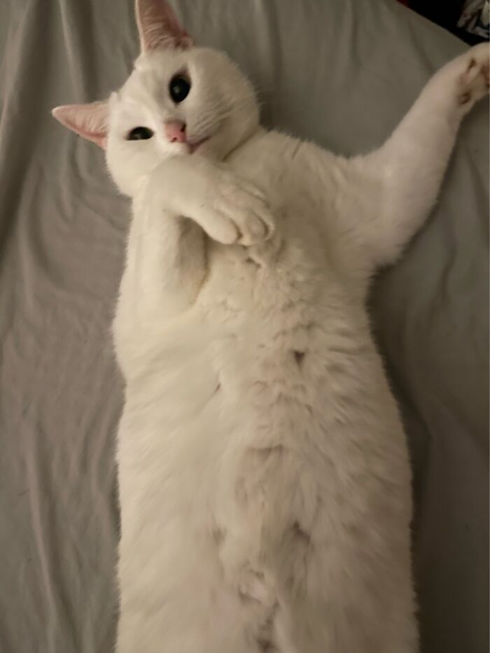 Beautiful But Deadly Lol