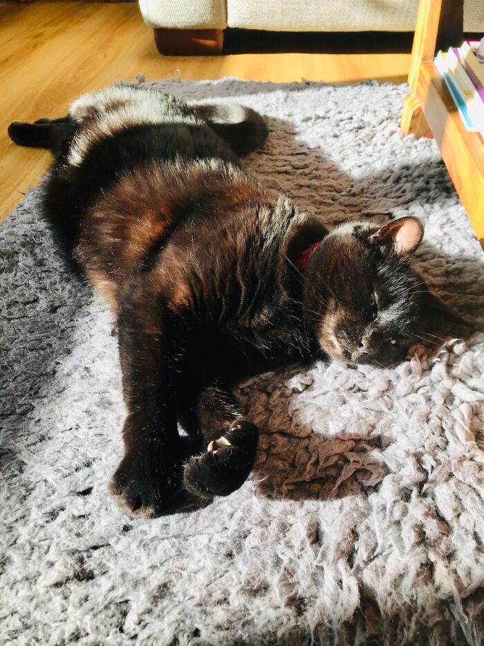 And This Is My Beautiful Bean….we Lost Her In