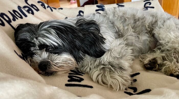 Don’t Disturb Meeee…