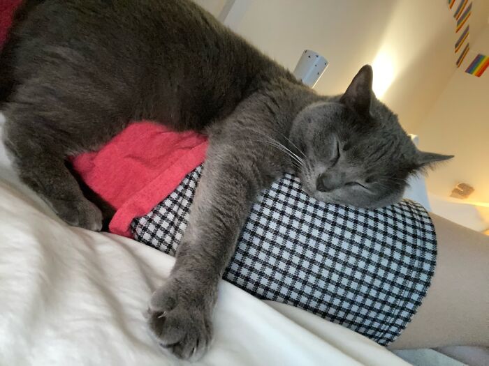 I Was Trapped For Half An Hour Worth It