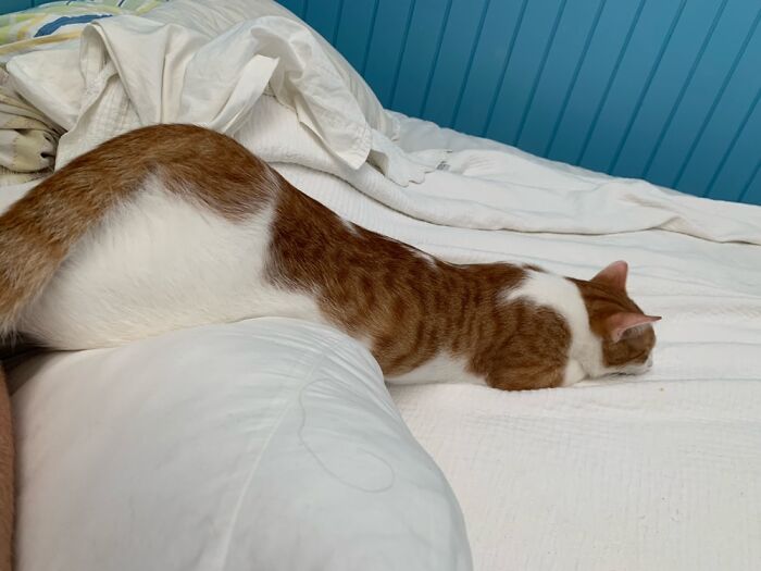 Enzo Being His Usual Weird Self