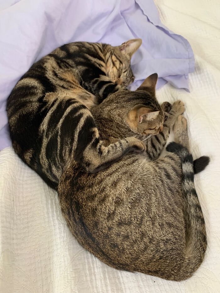 We Call This A Foot Hug