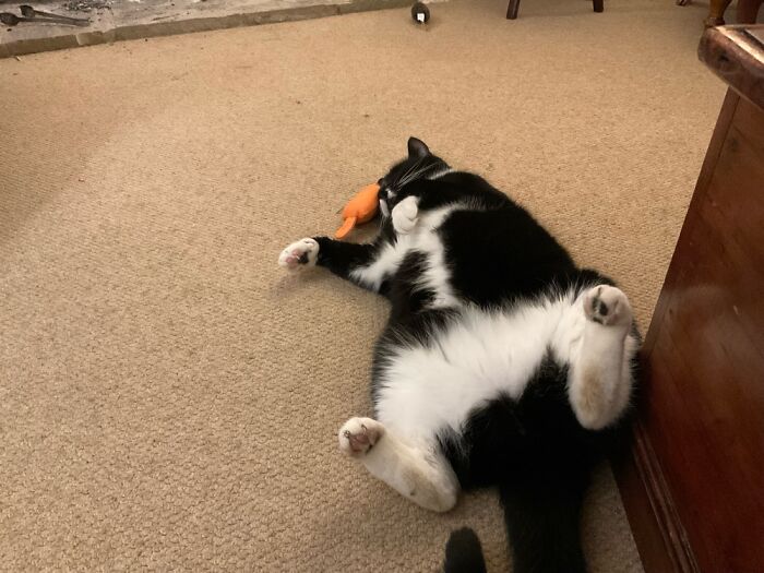 Tired Boy After A Day Of Playing…