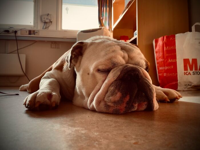 Mundungus Taking A Quick Nap.