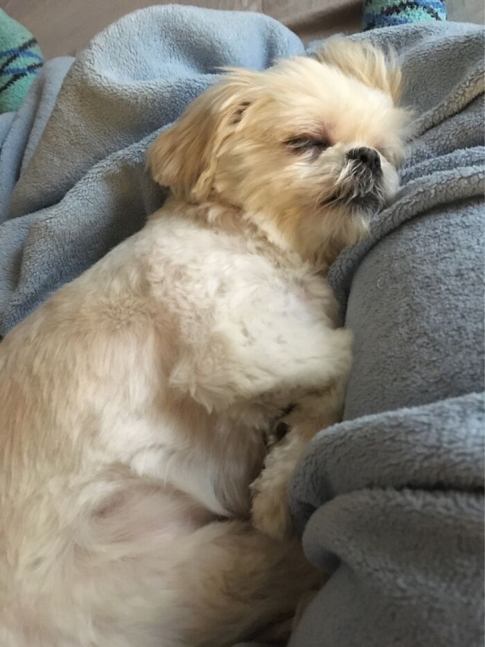 Corkie, The Corkster, Corkenheimer, Cork-A-Doodle-Doo, Bo Bo, Coocoo, Korkaburra…love