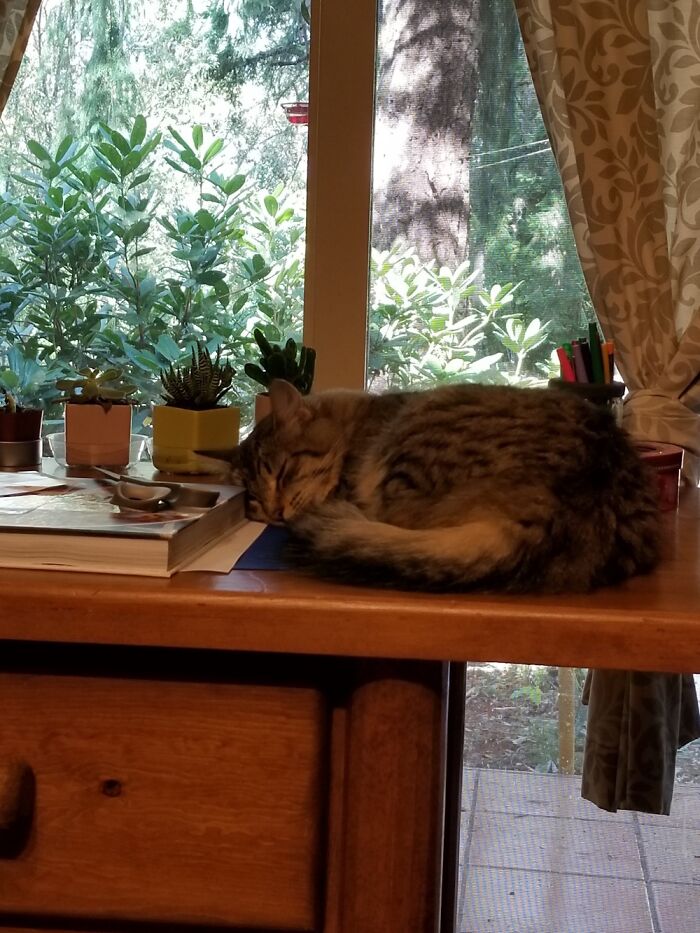 So Cozy. I Miss Her So Much.