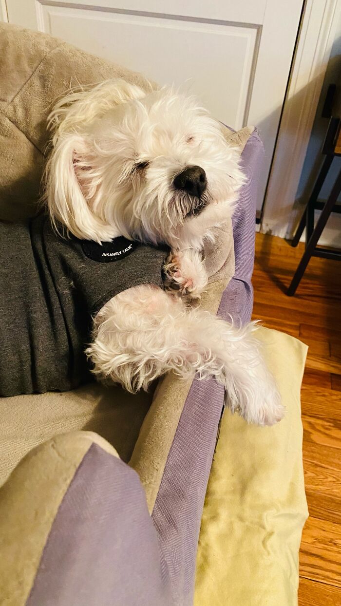 Exhausted From Exploring The Airbnb.