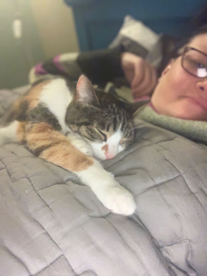 This Is Toa. It Means Warrior In My Native Language. She Survived Being Hit By A Car.