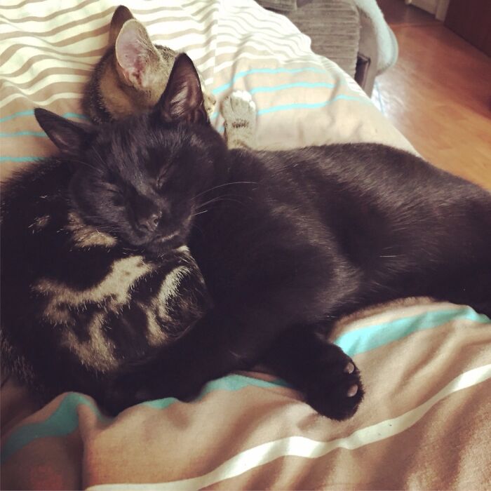 When They Used To Get Along