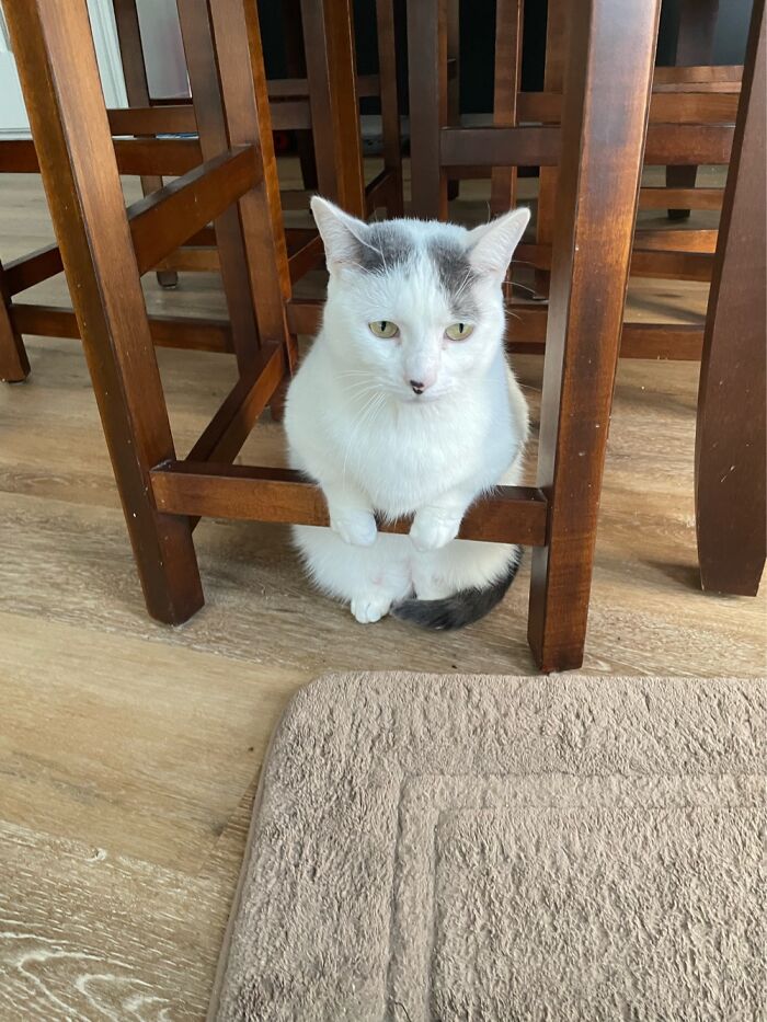 He Is Thinking About His Life Choices