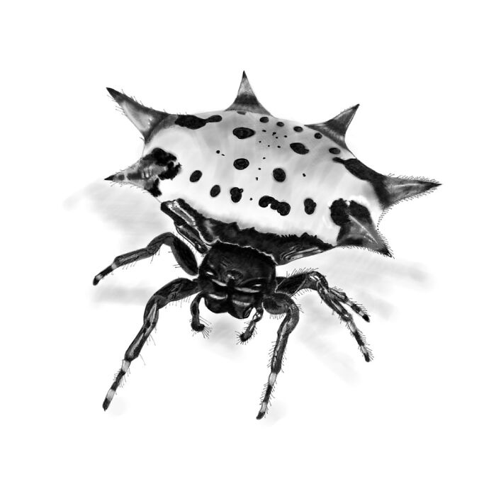 Crawl (Digital Ink For Inktober 2020)